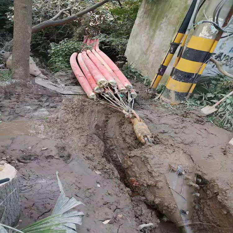 大庆武汉电动拖拉管